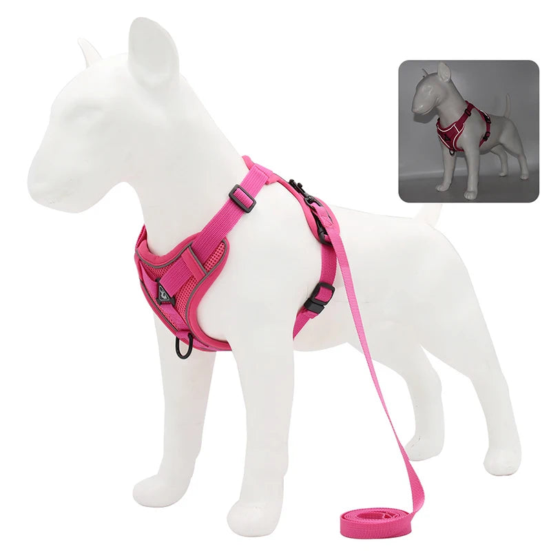 No-Pull Dog Harness Set