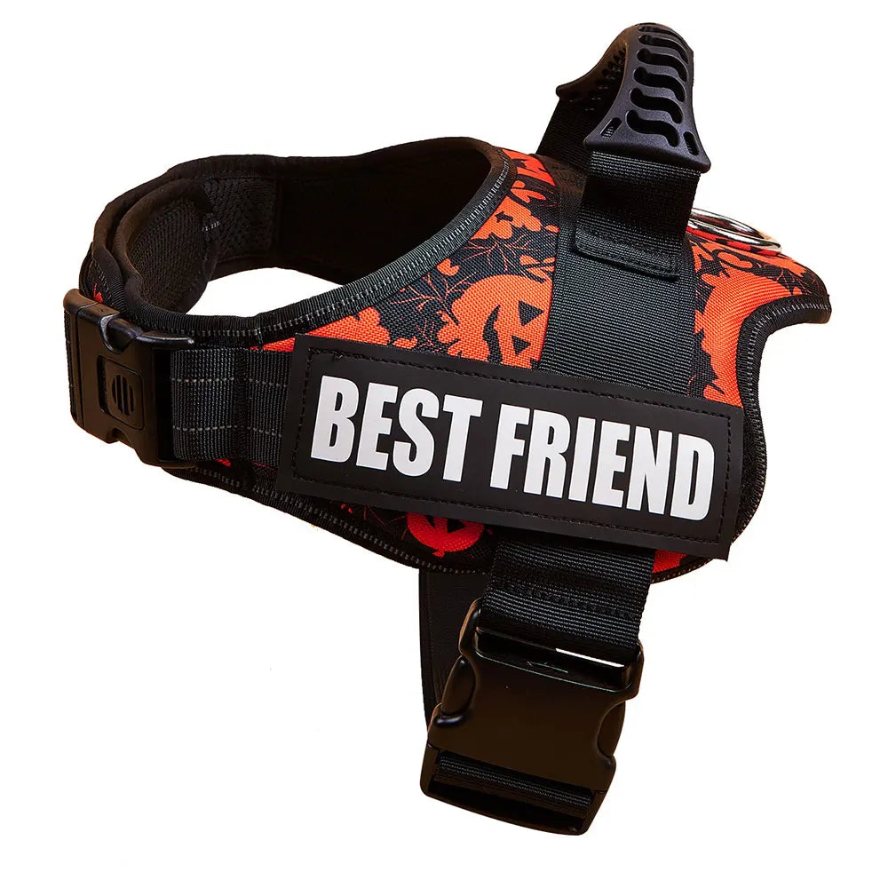 Customizable Dog Harness