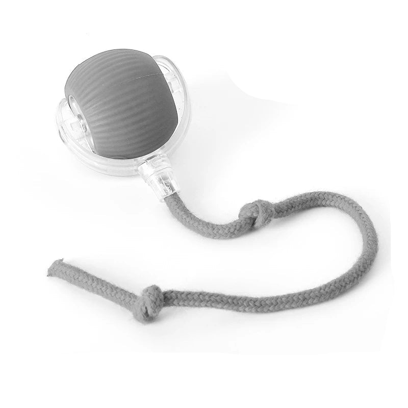 Smart Interactive Dog Ball