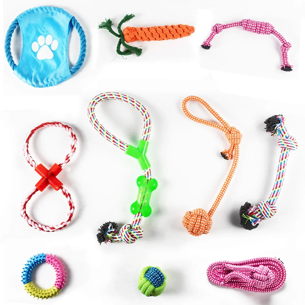 Colorful Dog Chew Toys