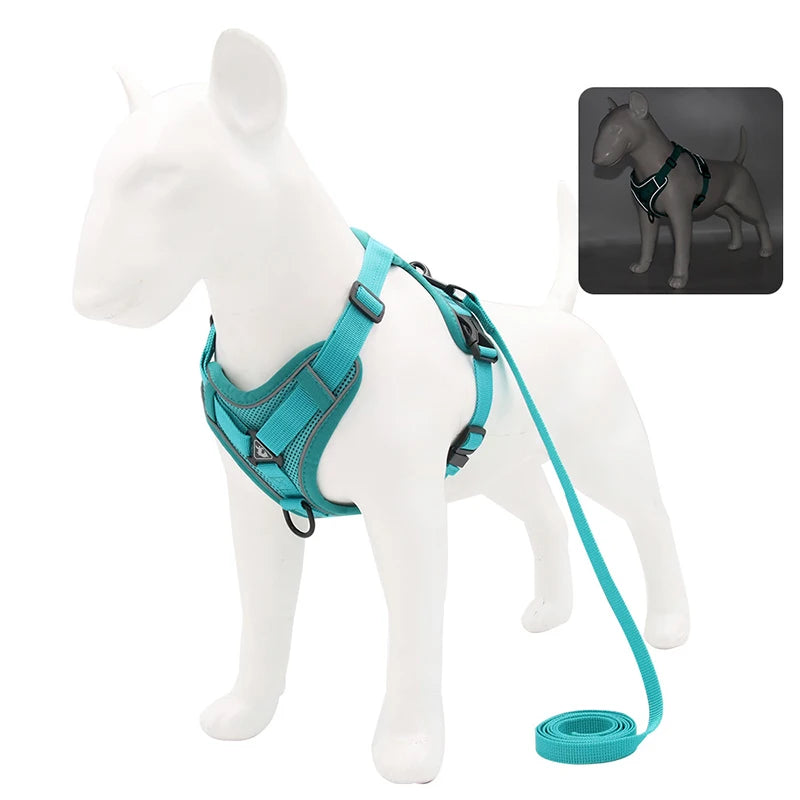 No-Pull Dog Harness Set