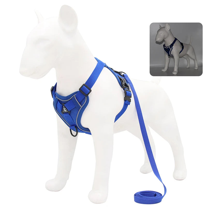 No-Pull Dog Harness Set