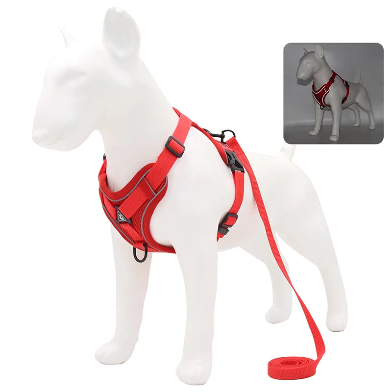 No-Pull Dog Harness Set