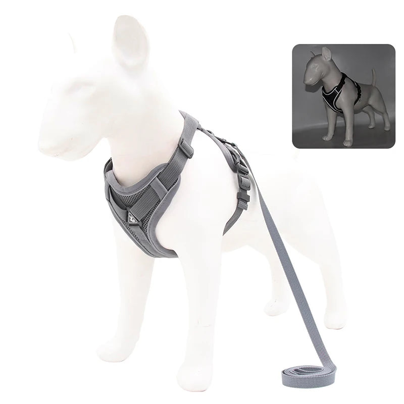 No-Pull Dog Harness Set
